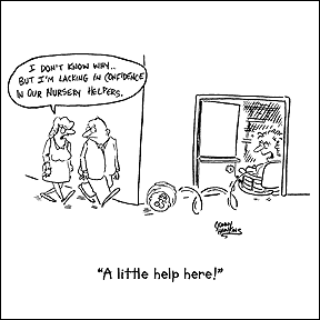 Cartoon