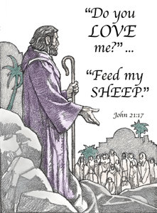 Feed My sheep