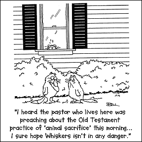 Cartoon