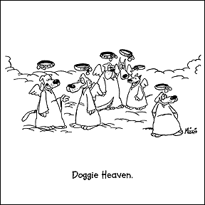 Cartoon