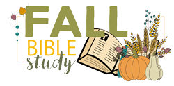 bible_28759c